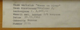 foto 1 Voorhaar, Johan